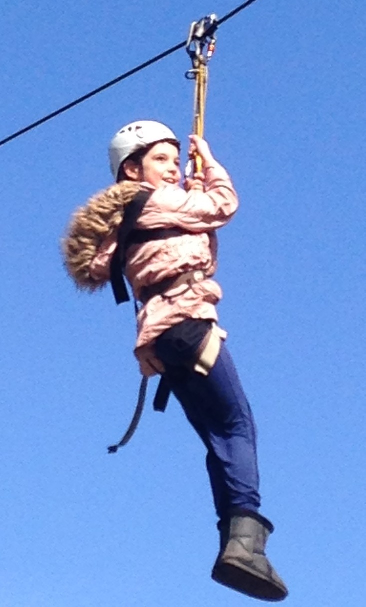 YC zip wire 2