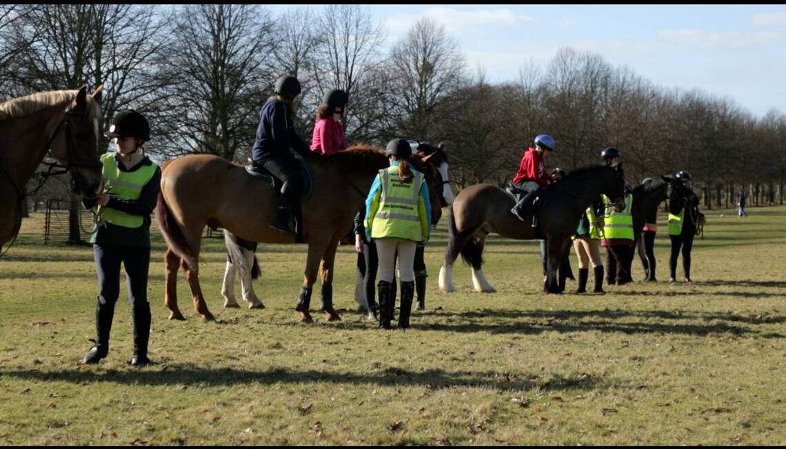 Horse Rangers